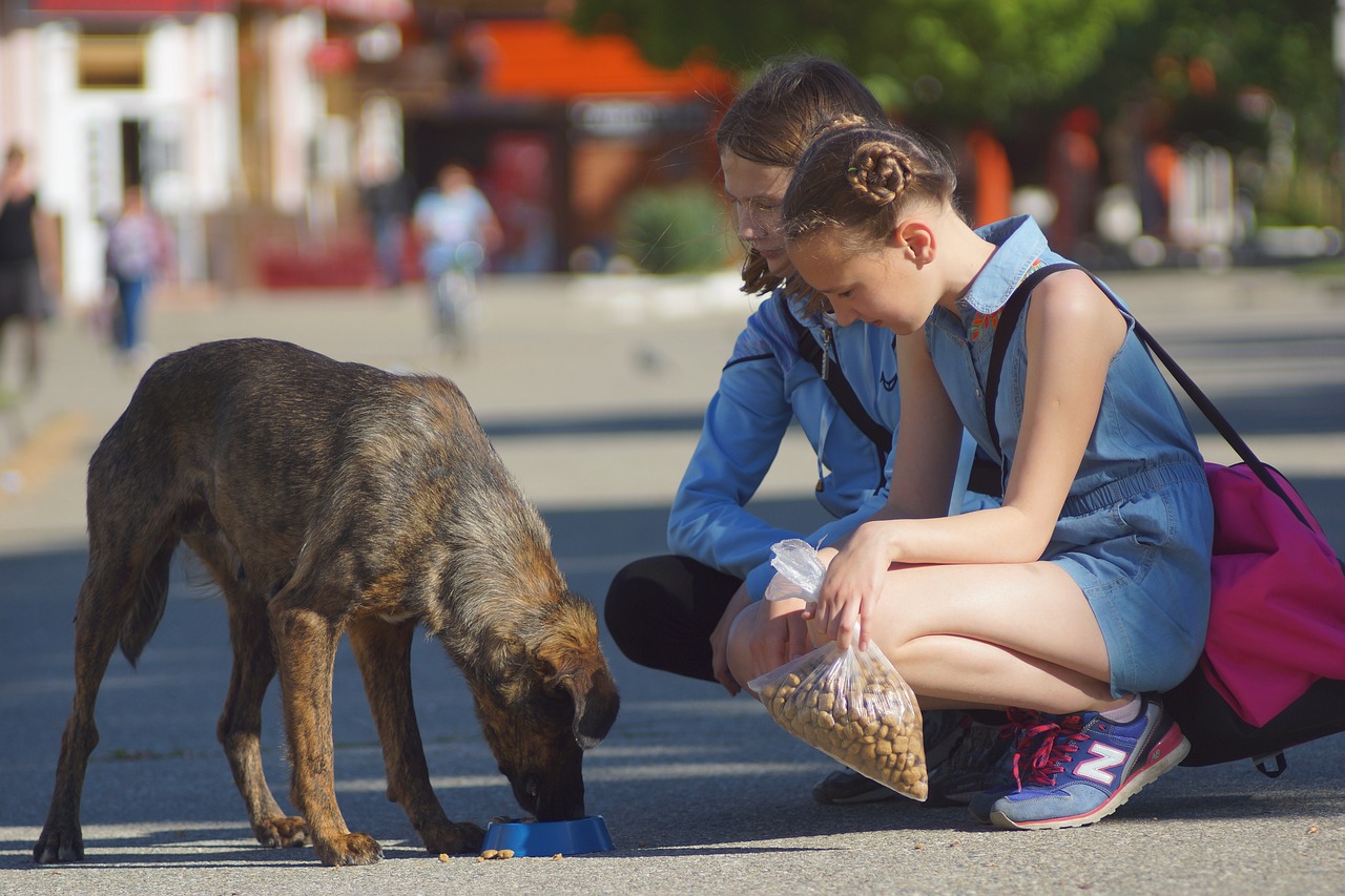 Kinder, die einem auf der Straße lebenden Hund füttern.